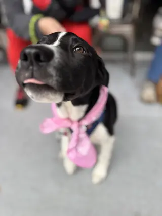 Roscoe