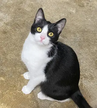 Melvin