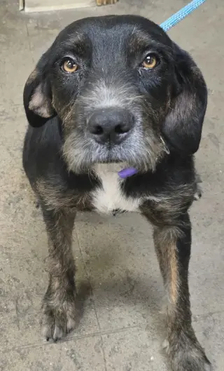 Nelda
