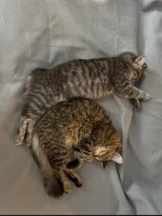 Winnie & Wilfie
