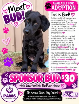 Bud