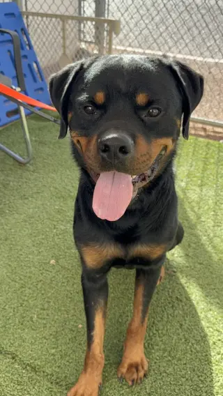 Zeke