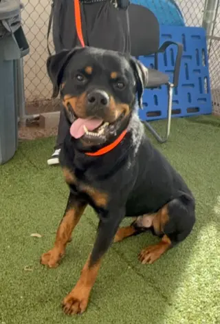 Zeke