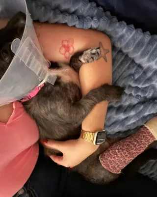 Nina - Adopt Me!