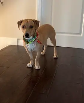 Chance