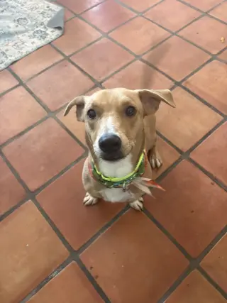 Chance