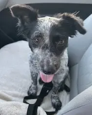 Kona