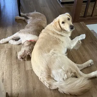 Matrix