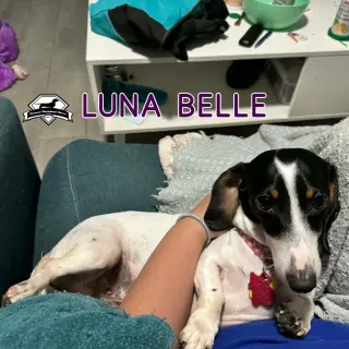 Luna Belle
