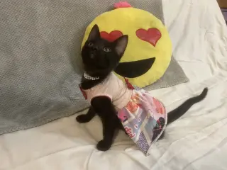 Tania