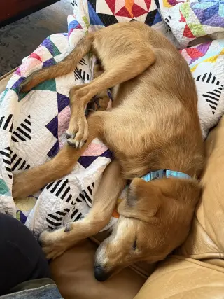 Toffee