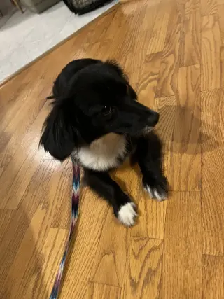 Kaisley