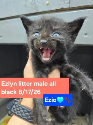 Ezio