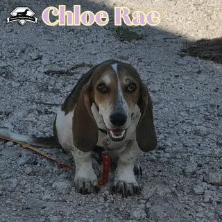 Chloe Rae