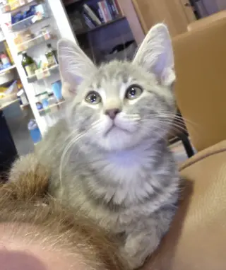 Paul