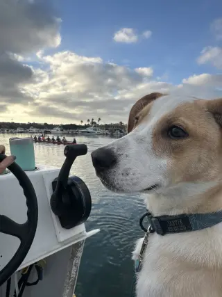 Goofy aka Skipper