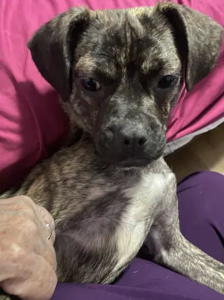 WHISKEY