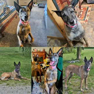 Tilly Female, SC.