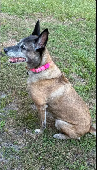 Tilly Female, SC.