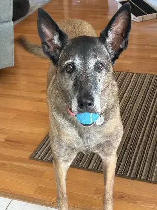 Tilly Female, SC.