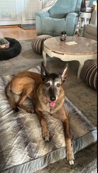 Tilly Female, SC.