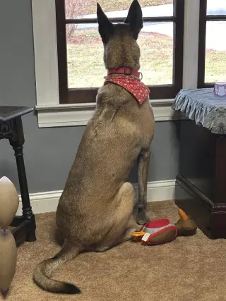 Tilly Female, SC.
