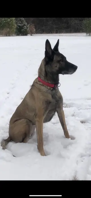 Tilly Female, SC.
