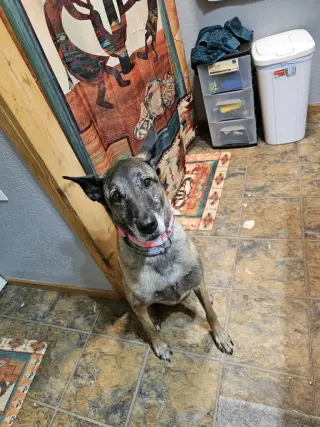 Tilly Female, SC.