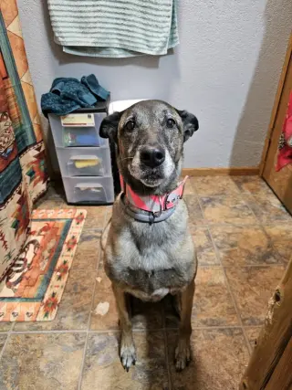 Tilly Female, SC.