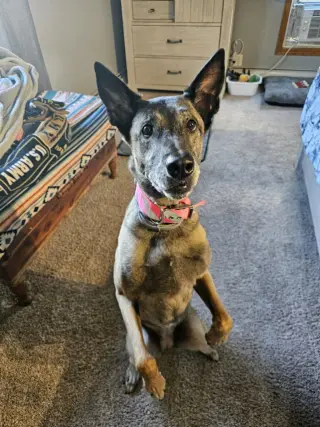 Tilly Female, SC.