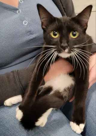 Kira