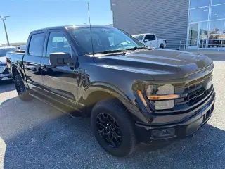 Ford F-150 2024 4x4 XLT 4dr SuperCrew 5.5 ft. SB
