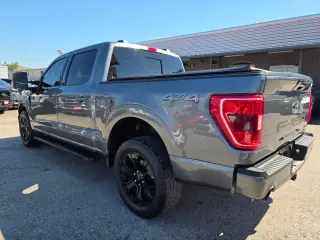 2023 Ford F-150 XLT SuperCrew 5.5-ft. Bed 4WD