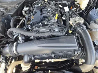 Ford Mustang 2025 EcoBoost 2dr Fastback