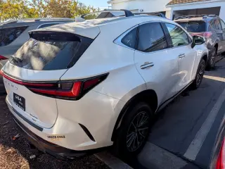 2025 Lexus NX