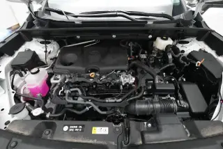 Toyota RAV4 2026 AWD LE 4dr SUV