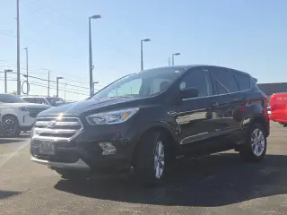 Ford Escape 2019 SE 4dr SUV