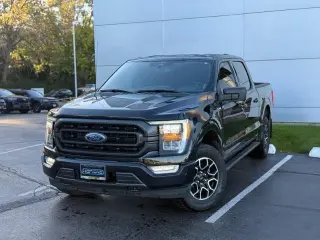 Ford F-150 2023 4x4 XLT 4dr SuperCrew 5.5 ft. SB
