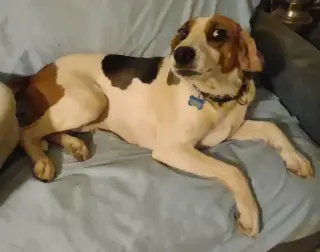 Loretta-Not at the Shelter (Wendy)