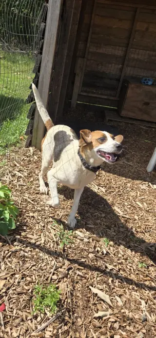 Loretta-Not at the Shelter (Wendy)