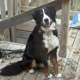 Oakley