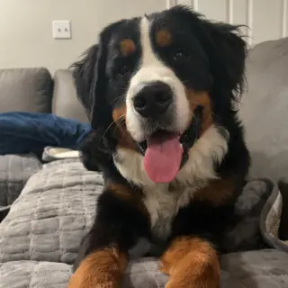 Oakley