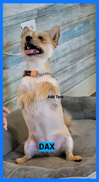 Dax