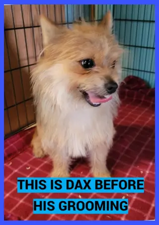 Dax