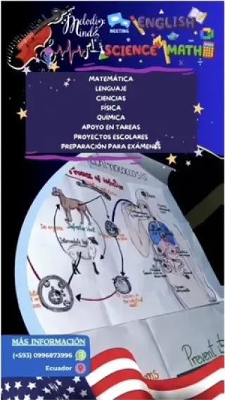 Clases de Inglés Personalizado