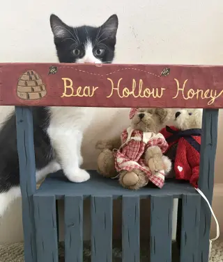 Harriet