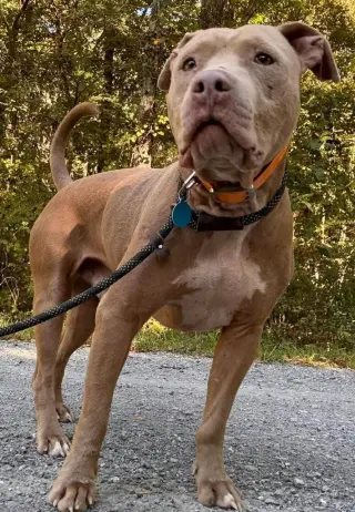Ernie