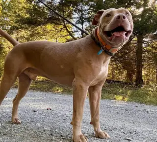 Ernie