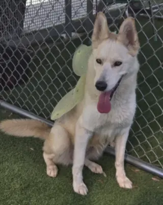 LUNA