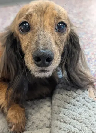 Nina in TN